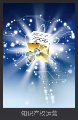 知識產(chǎn)權(quán)運營